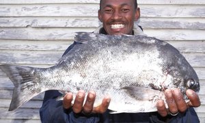 Galjoen van 2.25 kg by Brandfontein